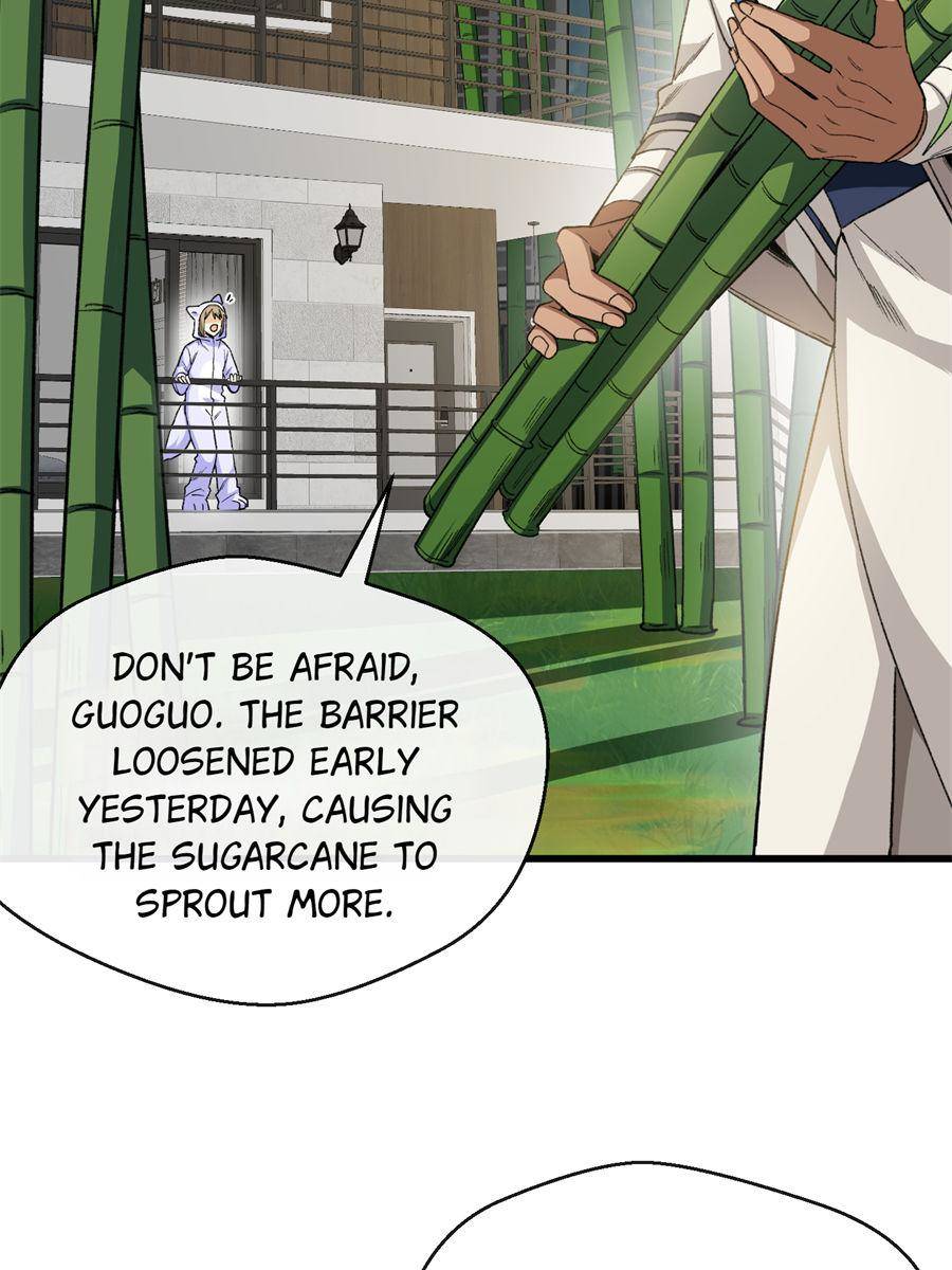 81436208 900 1200 130283